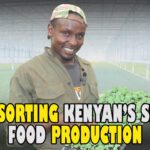 Inspiring Sweet potato Seedlings Inventor of JK Smart farming