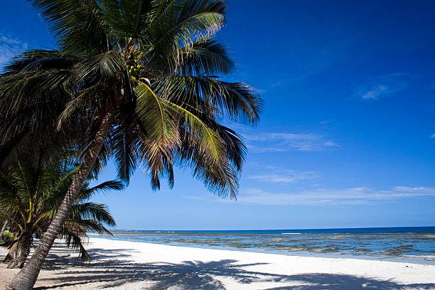 Why You Should Try Hiking in Kenya This Holiday