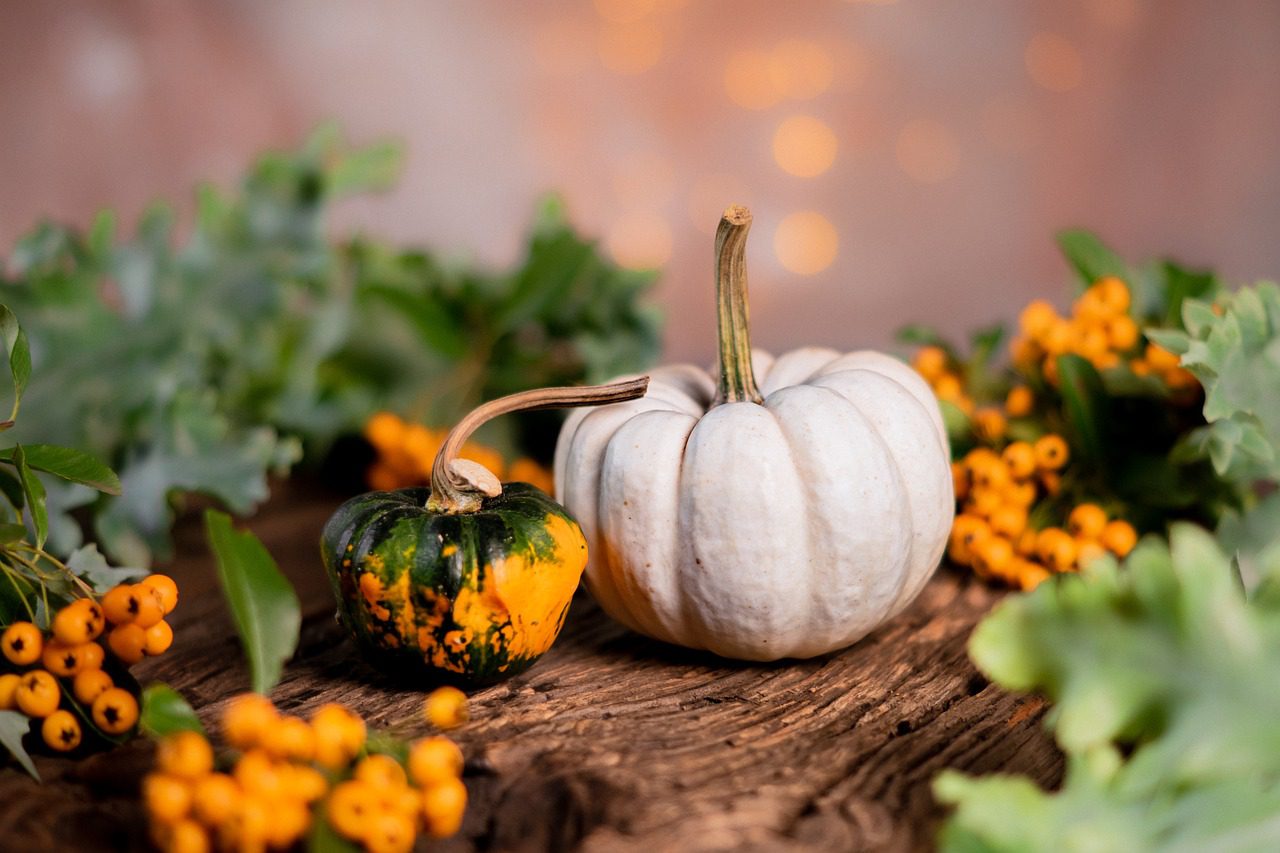 Approved Health Benefits of Eating “Misheveve” Pumpkin Leaves