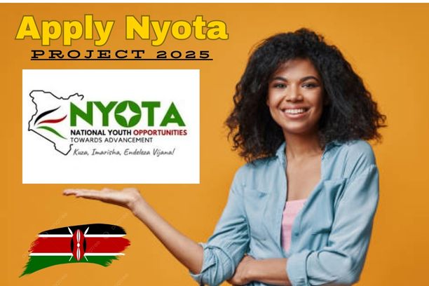 Quick Steps to Apply Nyota Fund in Kenya 2026(With Example)