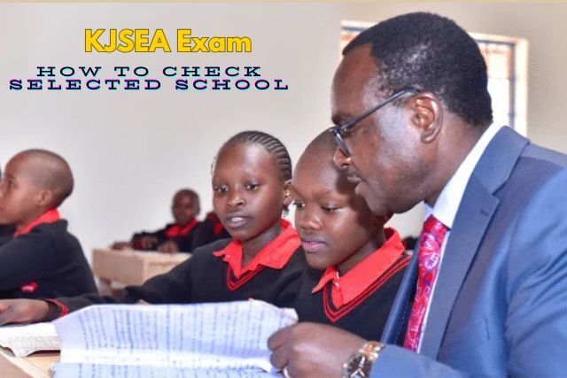 Proven Guide to placement.education.go.ke for Grade 10 School Placement in Kenya