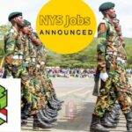 Apply NYS Jobs 2026 Announced 700+ Vacancies & Requirements