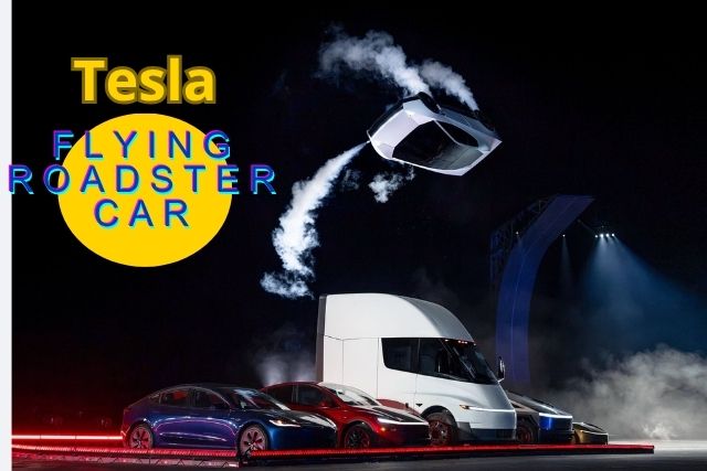 Elon Musk Flying Car Top 10 Facts About the Tesla Roadster